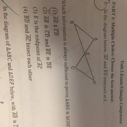 Plz explain and prove the triangles congruence.