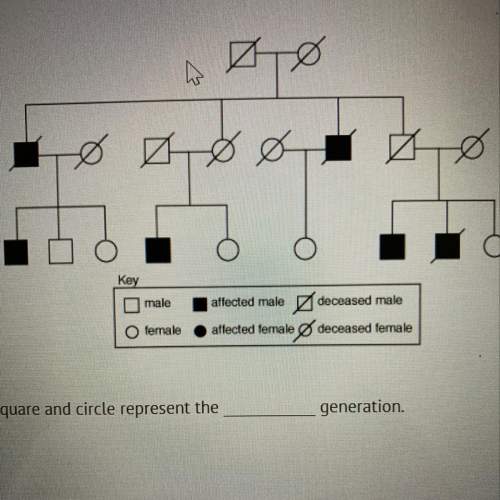 In the diagram the top square and circle represents the generation