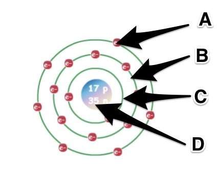Which part of the diagram represents the nucleus?  a) a  b) b  c) c  d) d