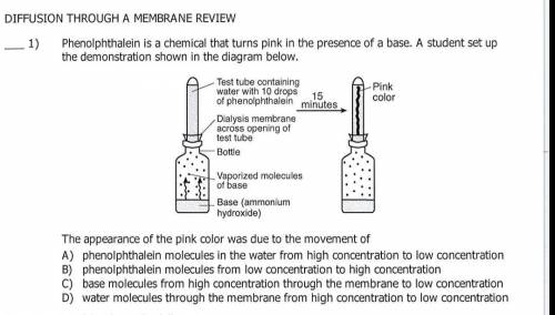The appearance of the pink color was due to the movement of a. phenolphthalein molecules from low co
