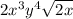2x^3y^4 \sqrt {2x