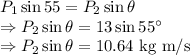 P_1\sin55=P_2\sin\theta\\\Rightarrow P_2\sin\theta=13\sin55^{\circ}\\\Rightarrow P_2\sin\theta=10.64\ \text{kg m/s}