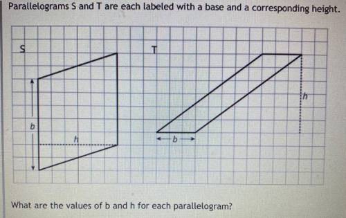 Parallelograms s and t are each labeled with a base and a corresponding height