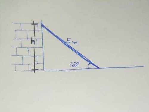 A ladder 5 m long, leaning against a vertical wall makes

an angle of 65° with the ground. How far u