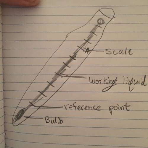 Draw an accurate, labelled diagram of a thermometer