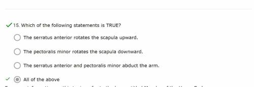 18. Which of the following statements is TRUE?

A. The serratus anterior rotates the scapula upward.