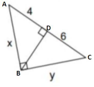 What is the solution to x?