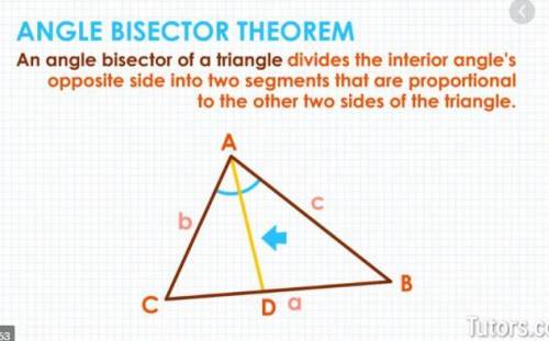 Choose the option with the correct name of the segment/line/ray shown.

a. perpendicular bisector
b.