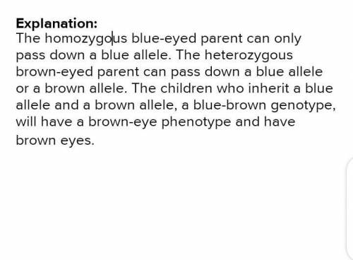 Marcus's genotype for eye color is bb. Olivia has brown eyes, but she is heterozygous for the trait.