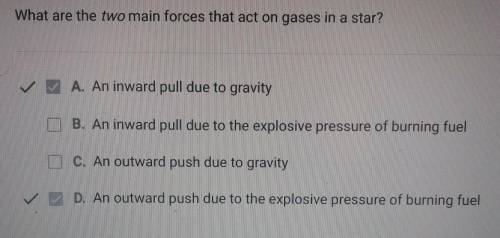 What are two main forces that act in gases in a star?