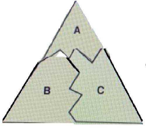 Who has created the correct figure and why?

Joey, because the interior angles of the original trian