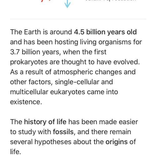 Explain when did life begin? (Scientific theory)