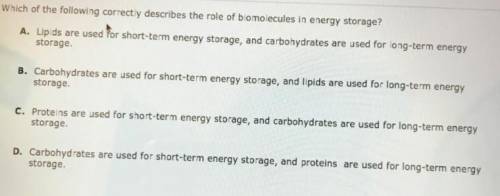 Which of the following correctly describes the role of biomolecules in energy storage ?