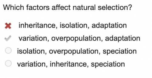 Which factors affect natural selection?

1. inheritance, isolation, adaptation
2. variation, overpop