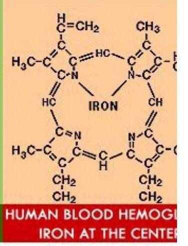 In a hemoglobin molecule, what element is central to all the structures