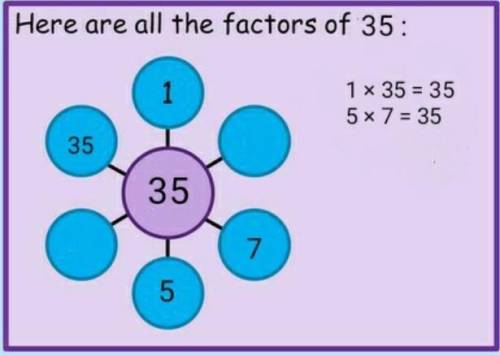 List factors of 35? Is it prime or composite?