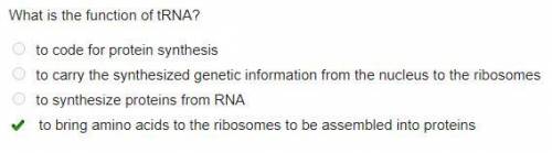 What is the funtion of tRNA?

-to code for protein synthesis 
-to carry the synthesized genetic info