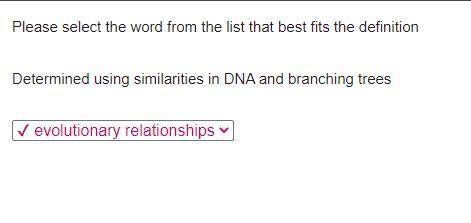 Please select the word from the list that best fits the definition

Determined using similarities in