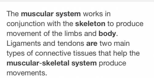 How does the skeletal sytem and the muscular sytem work together 
asap