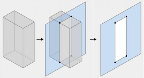 (05.05 LC) A right rectangular prism is shown. What shape best describes the cross section cut perpe