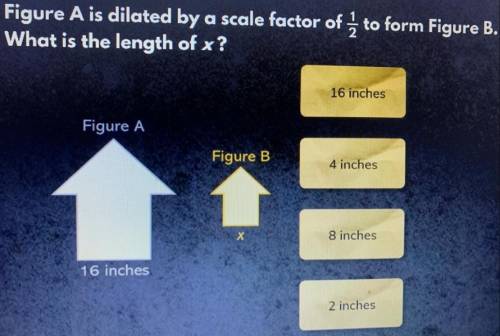 Figure A is dilated by a scale factor of 1 to form Figure B.

What is the length of x?
4 inches
Figu