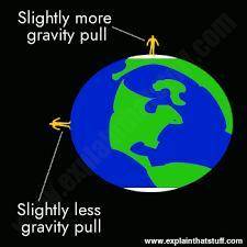 The statement that Newton knew what gravity did but he could not explain why gravity did it is the