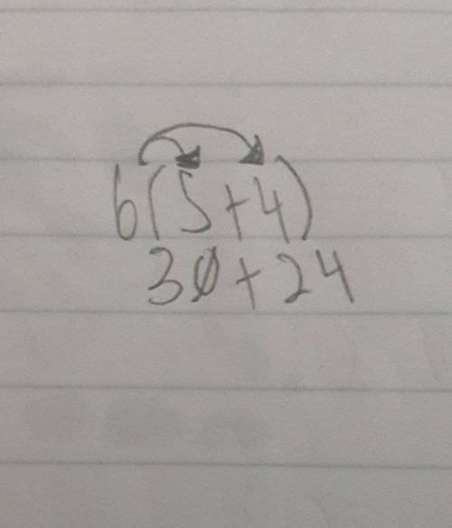 How do you us the distributive property to work out (4+5)6