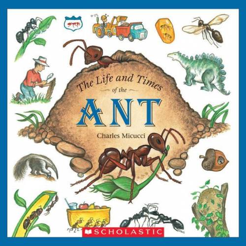 What is a drawing for the book called The Life and Times of the Ant?