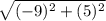 \sqrt{(-9)^{2} +(5)^{2} }