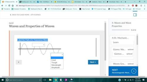 Label the parts of a transverse wave