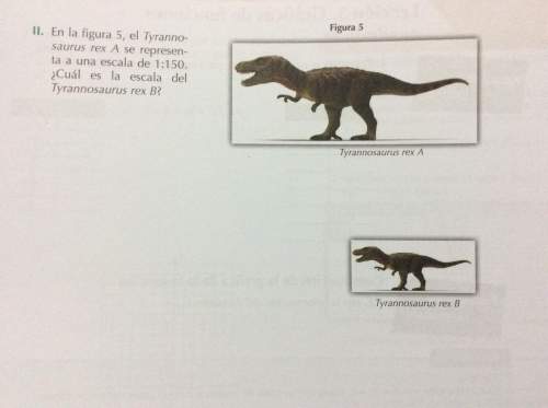 En la figura 5, el tyrannosaurus rex a se representa a una escala de 1: 150. ¿cuál es la escala del