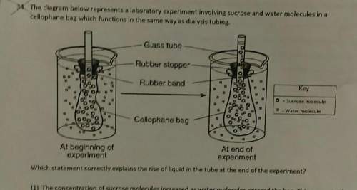 34. the diagram below represents a laboratory experiment involving sucrose and water molecules in a&lt;