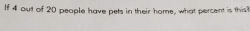 If 4 out of 20 people have pets in their home, what percent is this?