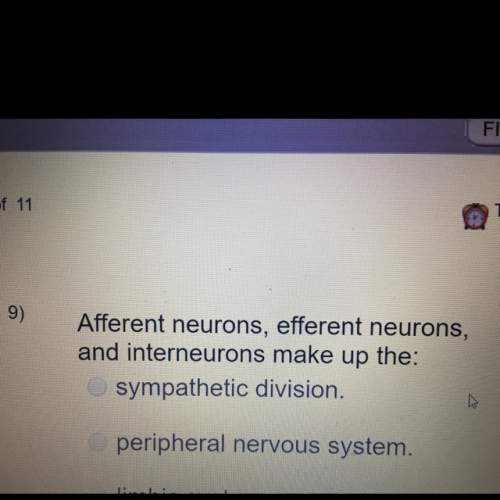 Afferent neurons, efferent neurons, and interneurons make up the