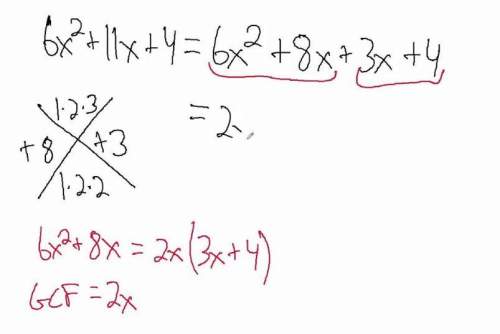 Plz with maths  (factoring quadratics)