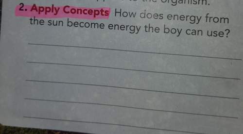 How does energy from the sun becone energy the boy can use?