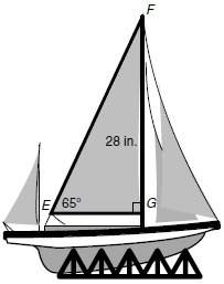 What is ef, the measure of the longest side of the sail on the model? round to the nearest inch.