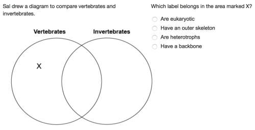 Sal drew a diagram to compare vertebrates and invertebrates. ((picture at the bottom))