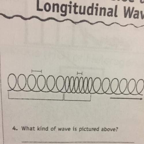 What wave is that transverse or longitudinal?