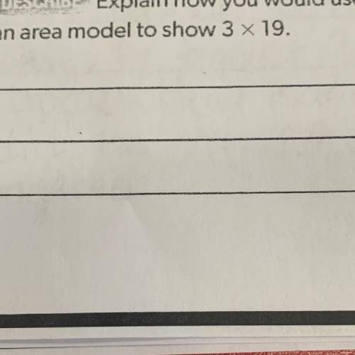 Explain how you would use an area model to show 3 x 19.
