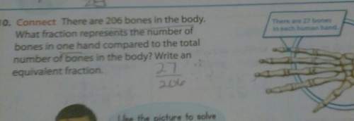 There are 206 bones in the body. what fraction represents the number bones in one hand compared to t