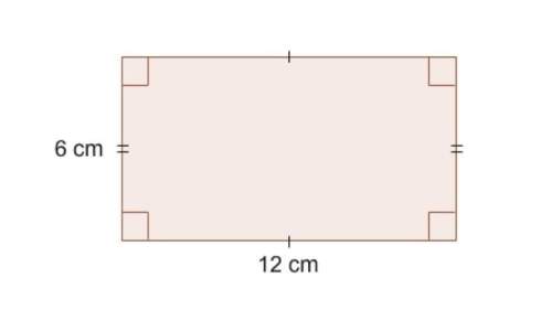 What is the perimeter of this rectangle? 1. (a) 36 cm 2. (b) 28 cm