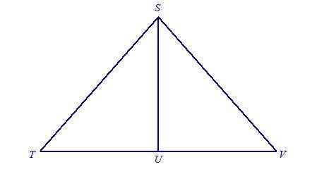 Given that su is the perpendicular bisector of tv , which of the following statements is true?