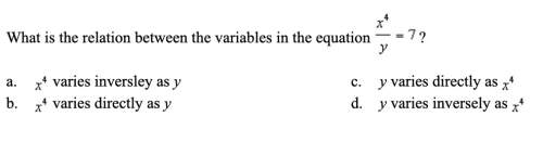 What is the relation between the variables in the equation x^4/y=7?