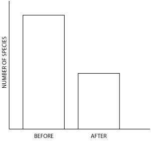 Plllz this graph best represents the populations of marine groups before and after the