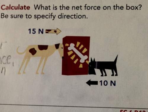 What is the net forces on the box? be sure to specify direction.