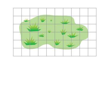 Each square on the grid represents 1m2 what is the aproximate area of this grassy field a about 5 m2
