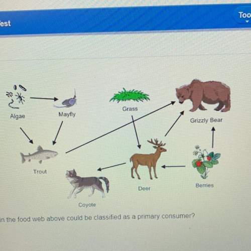 which of the organisms in the food web above can be classified as a primary consumer? &lt;