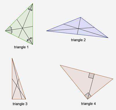 Which diagram shows the medians of a triangle?  a.  triangle 1 b.