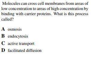 Hi, biology needed! any is greatly appreciated!